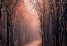 雷速体育网页版-关于拜仁慕尼黑球员表现抢眼，带领国家队勇夺胜利的信息