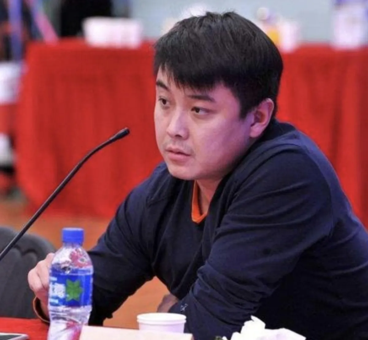 德国乒乓球队翻盘瑞典乒乓球队,王皓惊艳世界的简单介绍 德国乒乓球队翻盘瑞典乒乓球队,王皓惊艳世界的简单介绍