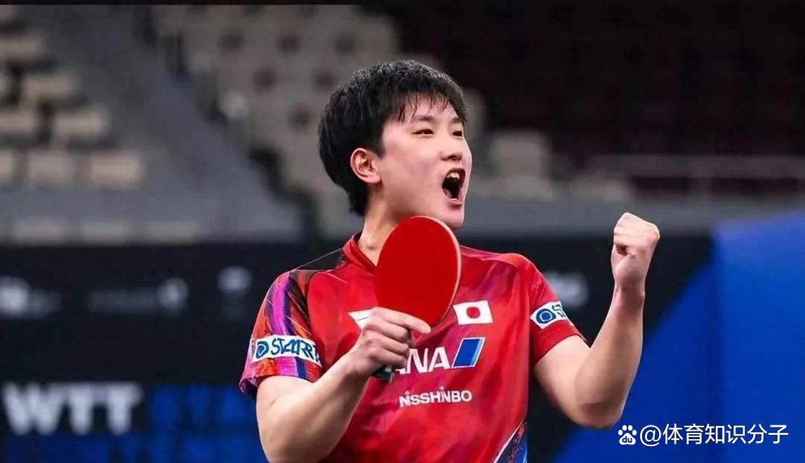 关于波兰队轻取德国队，张本智和状态火热的信息
