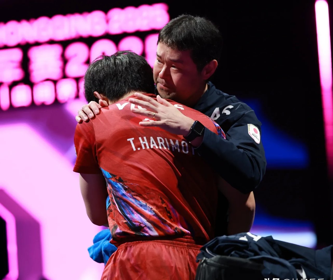 关于波兰队轻取德国队，张本智和状态火热的信息